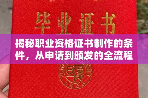 延吉揭秘职业资格证书制作的条件，从申请到颁发的全流程解析